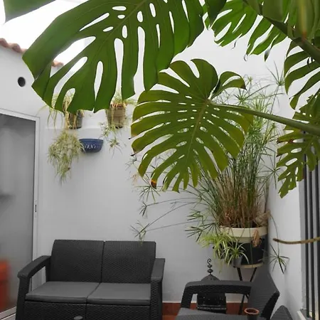 Appartement Impluvium