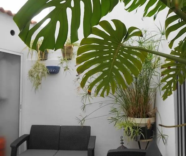 Апартаменты Impluvium