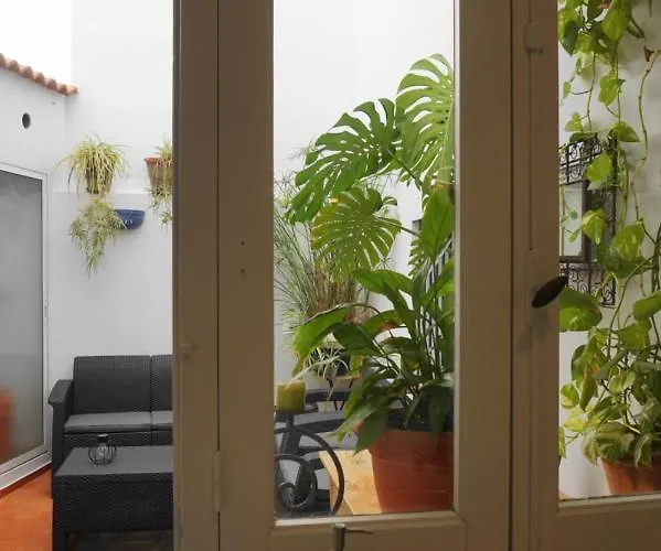 Апартаменты Impluvium *